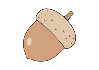 How to Draw an Acorn (Easy Step by Step) acorn drawing tutorial