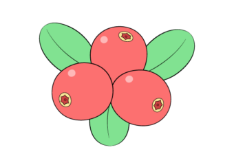 How to Draw Cranberries (6 Simple Steps) cranberries drawing tutorial