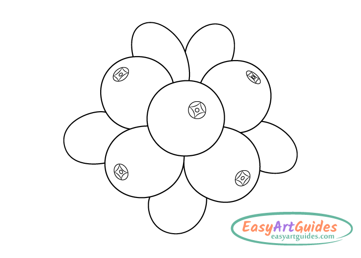 cranberries tip centers drawing