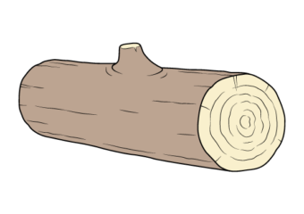 How to Draw a Log Step by Step log drawing tutorial