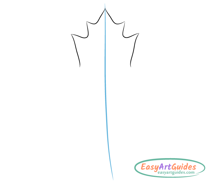 maple leaf center lobe drawing maple leaf center lobe drawing