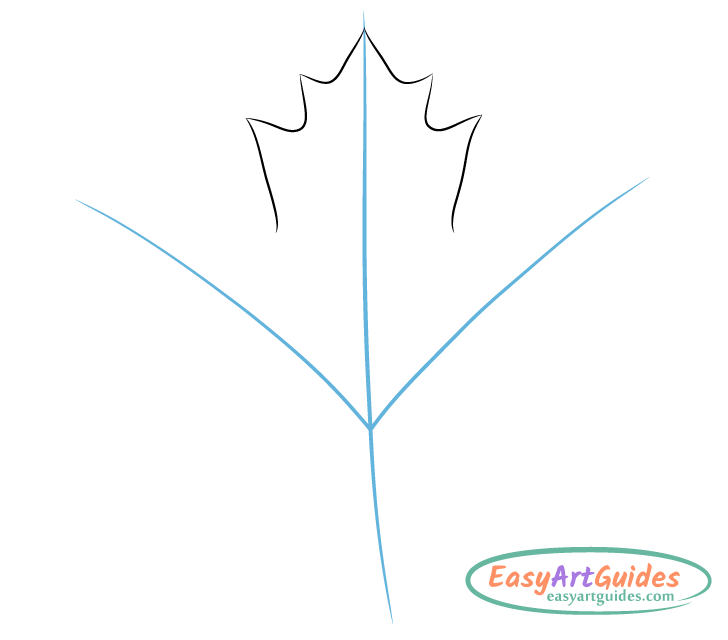 maple leaf drawing guide lines maple leaf drawing guide lines