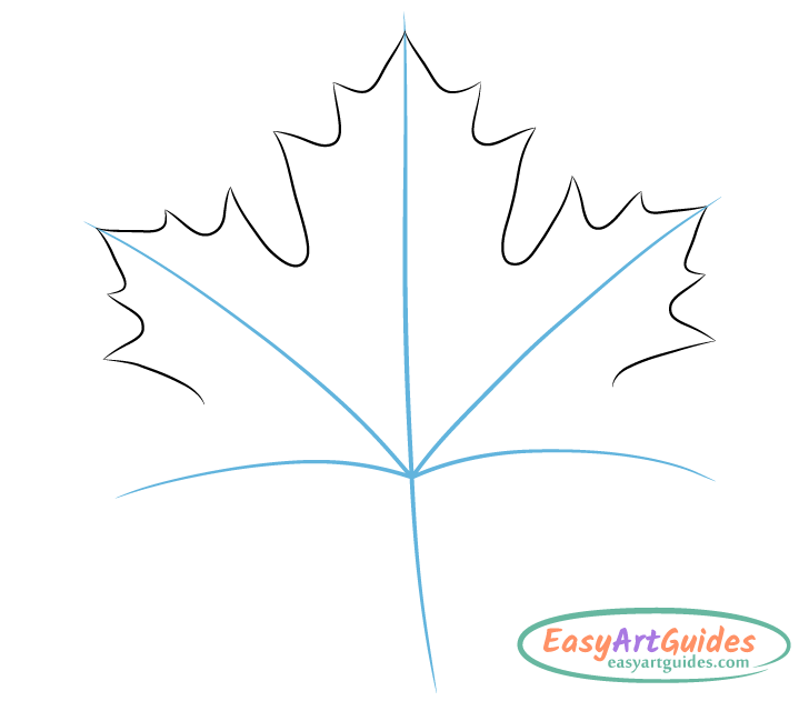 maple leaf drawing guide lines bottom maple leaf drawing guide lines bottom