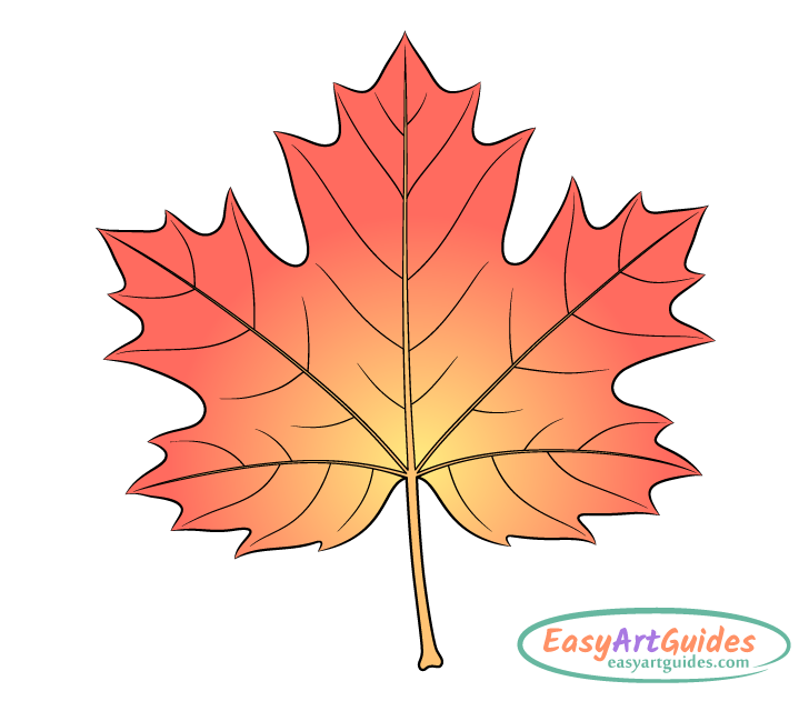 maple leaf gradient drawing maple leaf gradient drawing