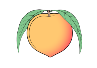 How to Draw a Peach (Easy Step by Step) peach drawing tutorial