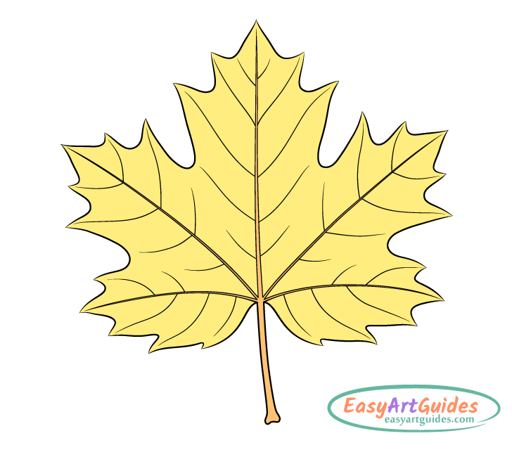 yellow maple leaf drawing yellow maple leaf drawing
