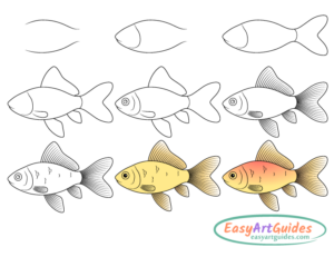 How to Draw a Goldfish (Easy Step by Step Guide) - EasyArtGuides