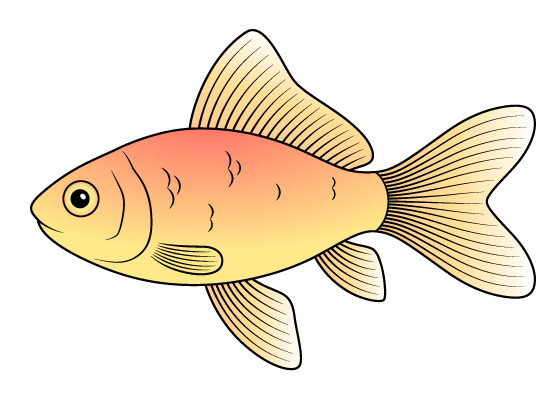 goldfish drawing tutorial