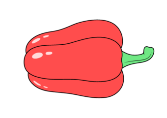 How to Draw a Bell Pepper Step by Step bell pepper drawing tutorial