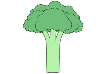 How to Draw Broccoli Step by Step broccoli drawing tutorial