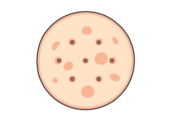 cracker drawing tutorial