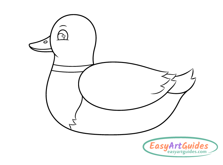 duck chest feathers drawing duck chest feathers drawing