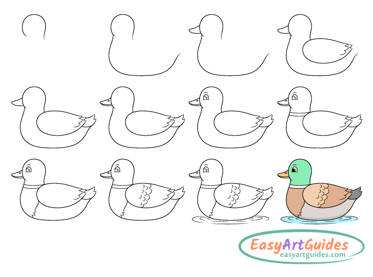 duck drawing step by step duck drawing step by step