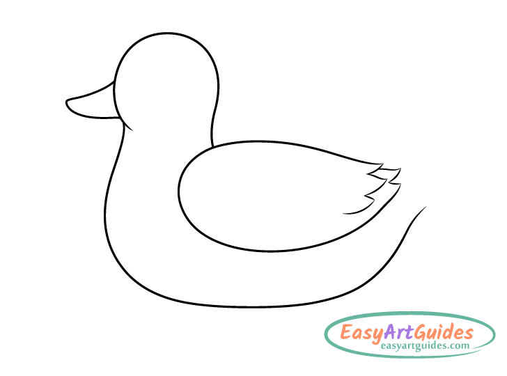 duck wing drawing duck wing drawing