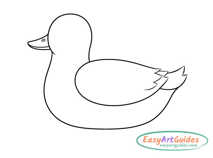 duck mouth and nostril drawing duck mouth and nostril drawing