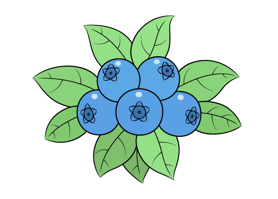 blueberries drawing tutorial
