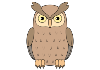 How to Draw an Owl Easy (11 Steps) owl drawing tutorial